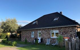 Graureiher